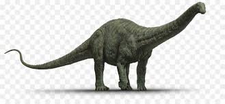 Apatosaurus