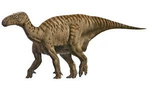 Iguanodon Picture