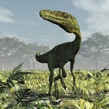 Juravenator Picture