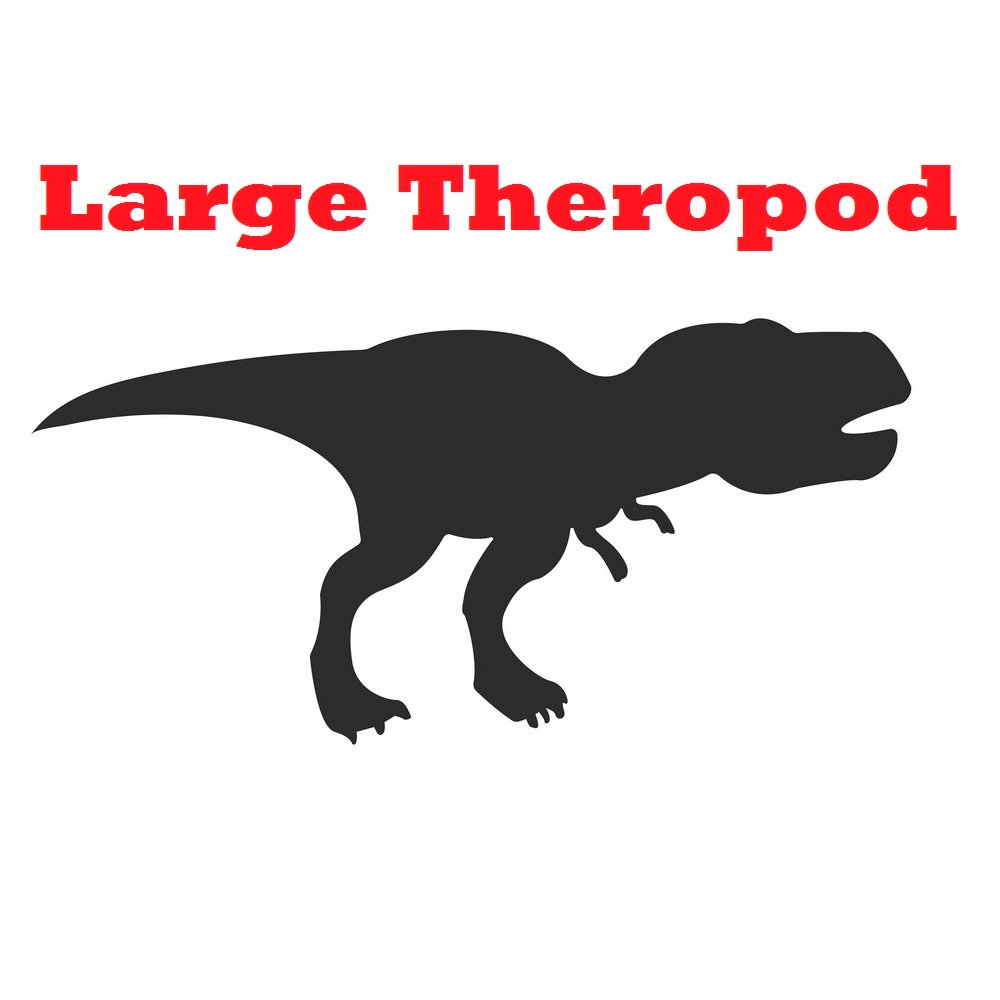 Large Theropod