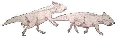 Leptoceratops