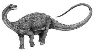 Neuquenosaurus Picture
