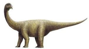 Rhoetosaurus Picture