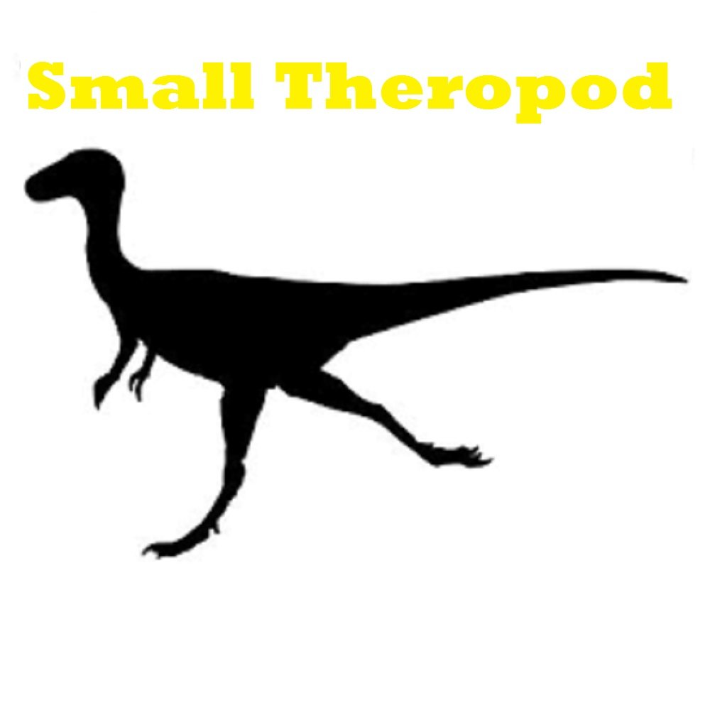 Small Theropod