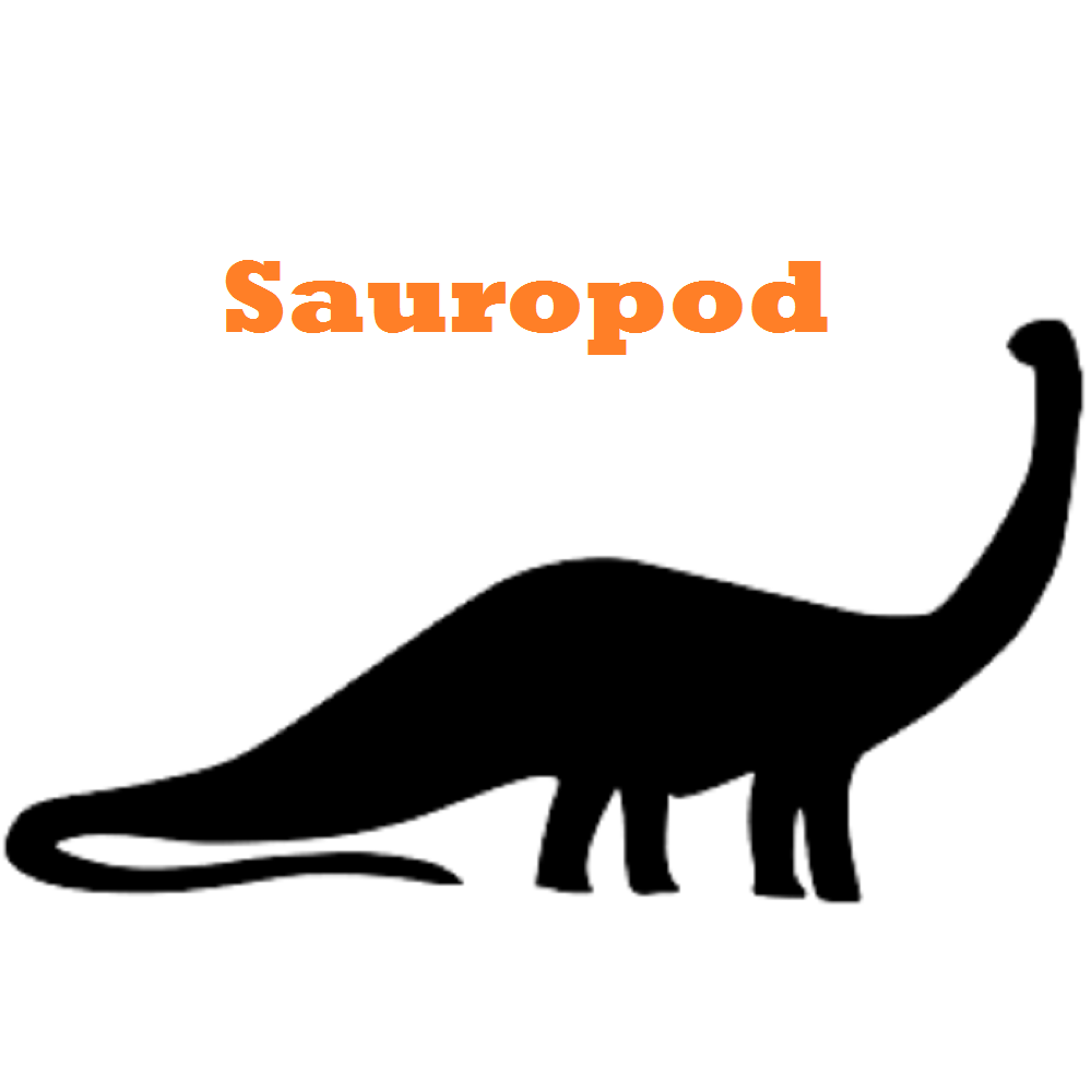 Sauropod