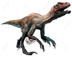 Utahraptor Picture