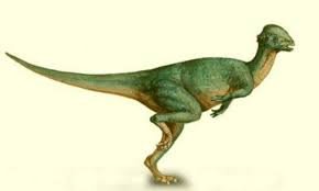 Wannanosaurus Picture