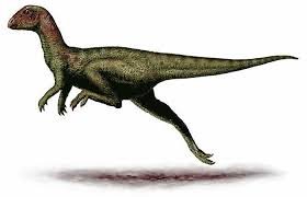 Zephyrosaurus